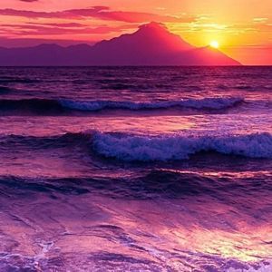 Meet your Posher, Dawn